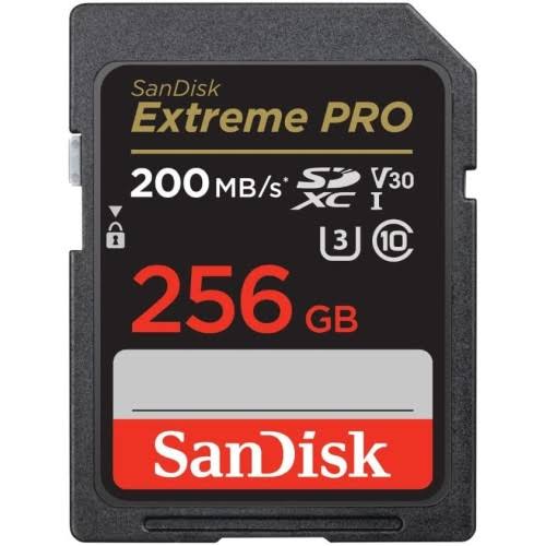 SanDisk 256GB SANDISK SD CLASS 10